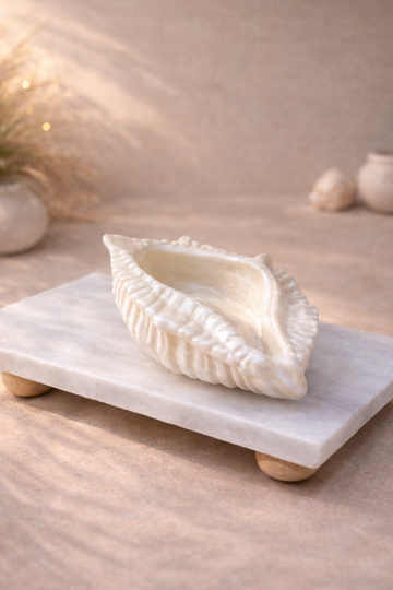 Dekoratif Büyük Boy İstiridye -Takı & Makyaj Malzemesi Tabağı